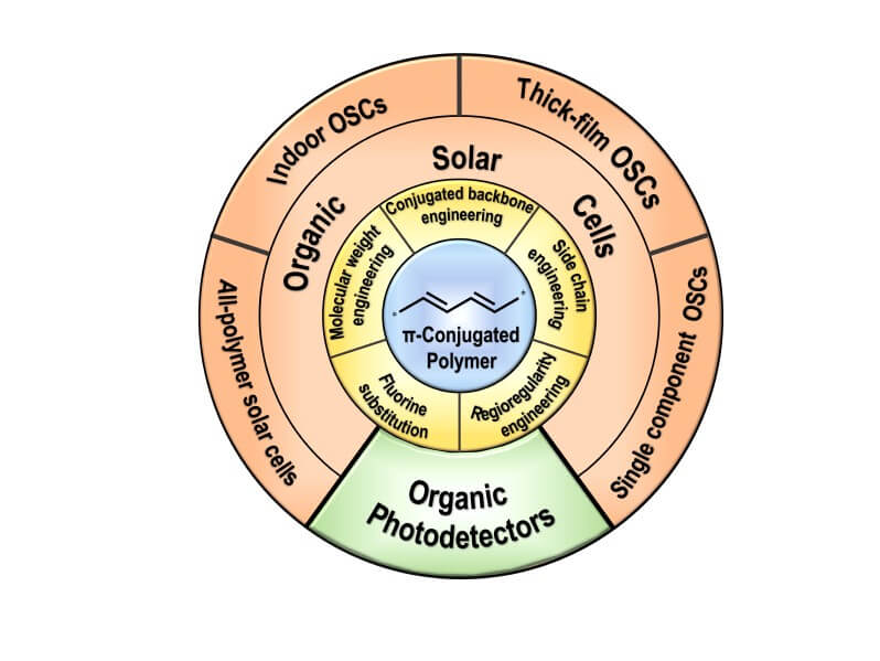 共軛聚合物結(jié)構(gòu)圖